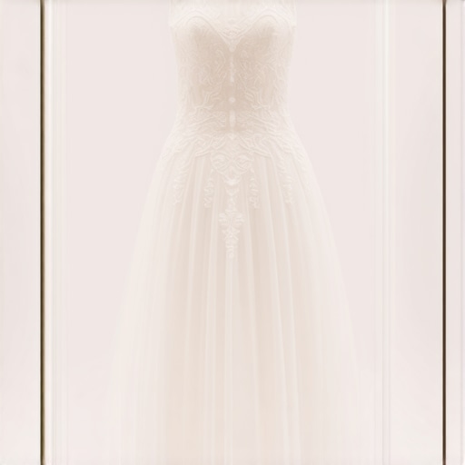 Ultimate Guide to Wedding & Bridal Gown Preservation Tampa