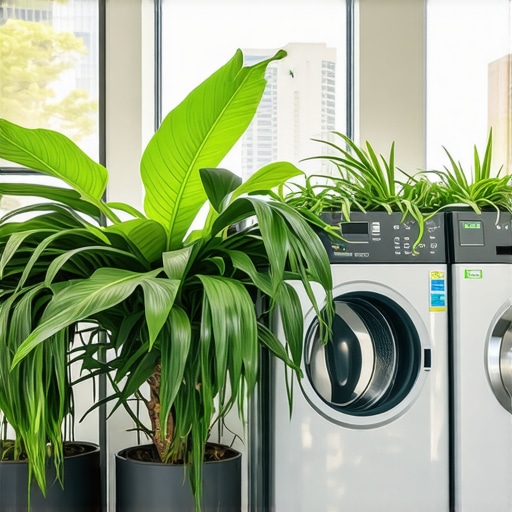 Eco-Friendly Dry Cleaning Tampa | Safe Fabric Care Tips & Services