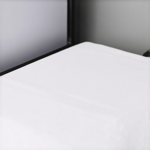 Ultrasonic cleaning machine gently cleaning a silk garment, demonstrating advanced fabric care technology.